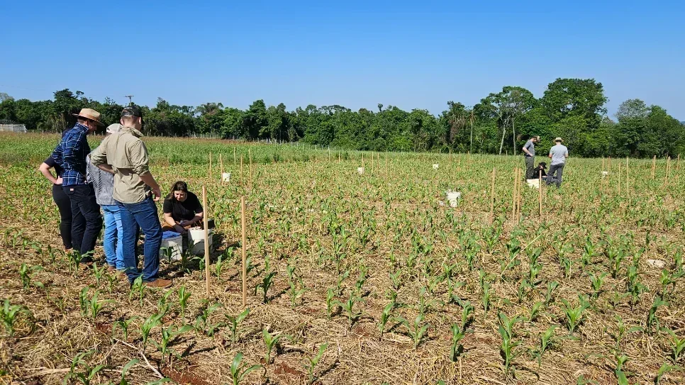 Professor do Campus Cerro Largo integra INCT - Agricultura de Baixa Emissão de Carbono