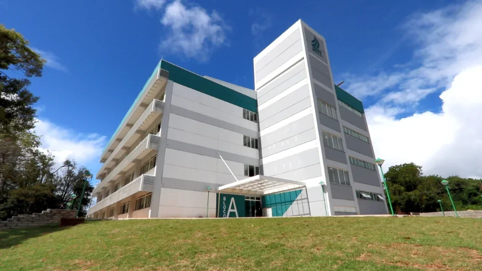 Editora publica mais dois volumes da Coleção 15 Anos UFFS