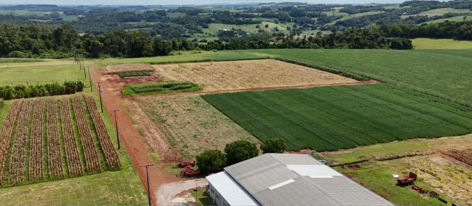 2º Dia de campo UFFS Cerro Largo - Culturas de Verão